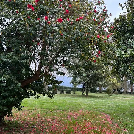 Boutique Del Marques (adults Only) 3*