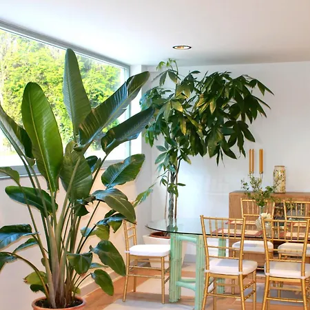 ホテル Boutique Del Marques (adults Only) Muros de Nalón