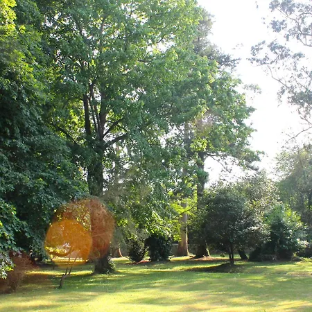 Boutique Del Marques (adults Only) ホテル 3*